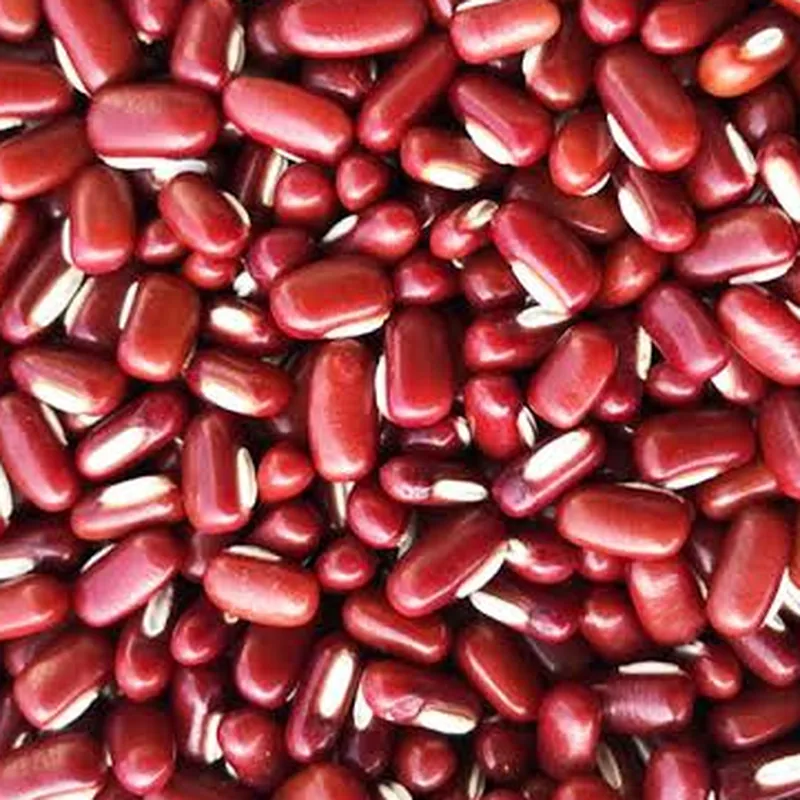 Red bamboo beans (War Pe)
