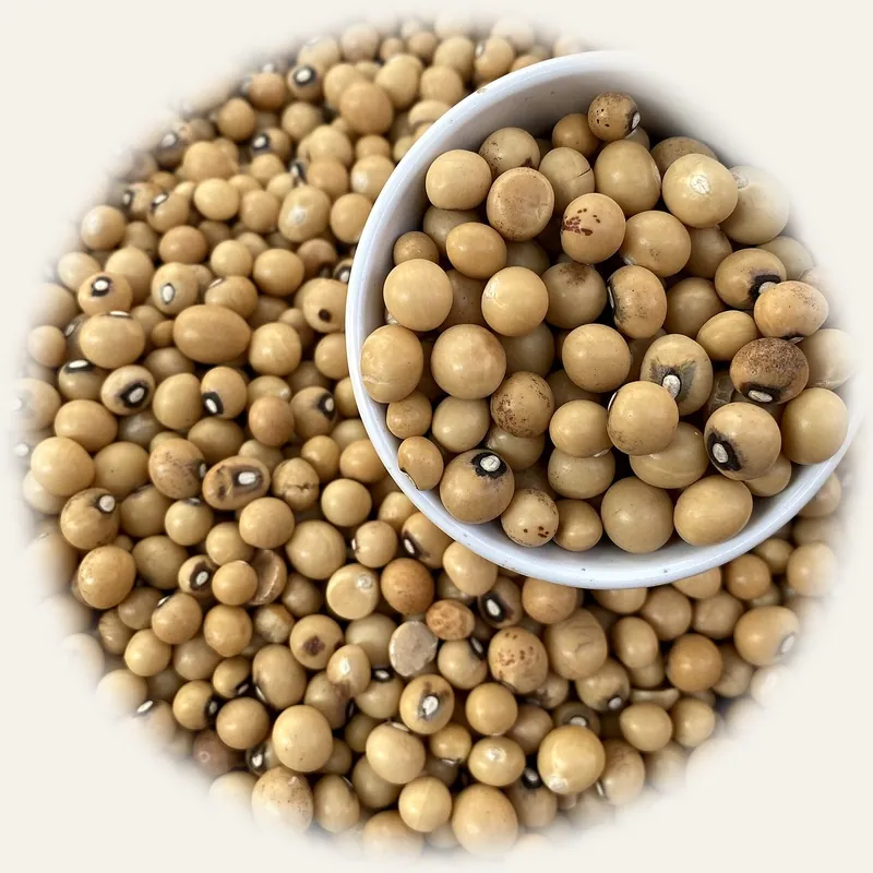 Black-eyed beans (cowpea) in a bowl