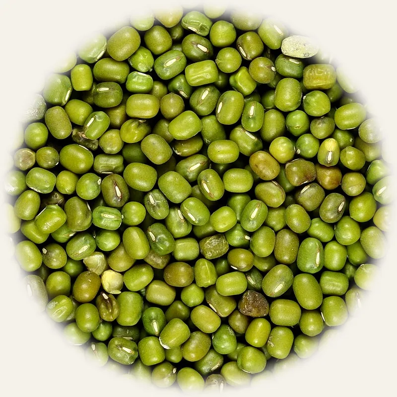 Green mung beans (green gram) in a bowl
