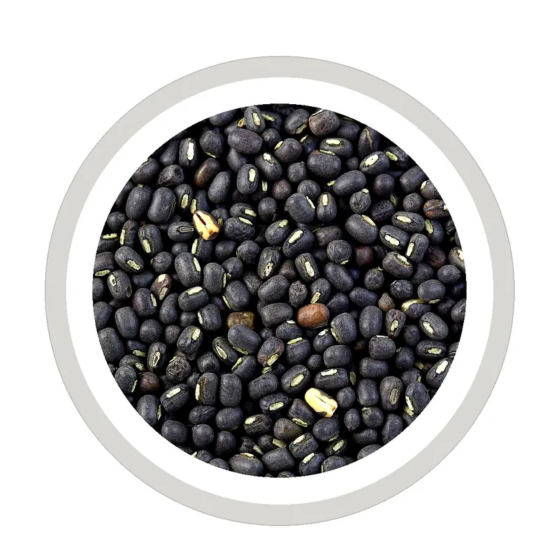 Black matpe / urad pulses — export from Myanmar